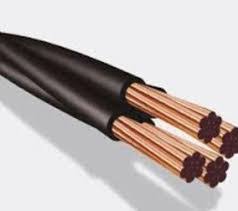 MTS CABLE ACOMETIDA 4X10mm